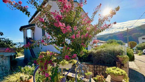 Apartmani Klaudija - Foto 5