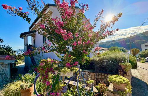 Apartmani Klaudija - Foto 5