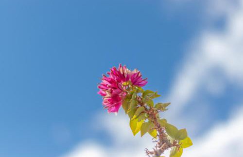 Altea Hills Villa Noruega - Photo 10