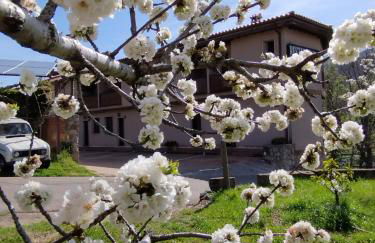 Complejo Rural Las Palomas - Foto 9