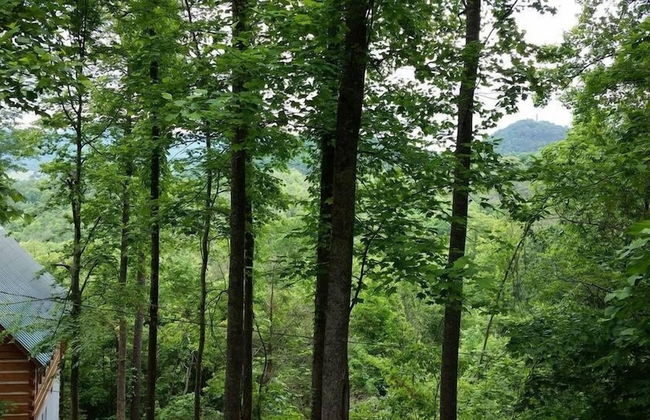 Blessed Nest 1 Bedroom Cabin by RedAwning - Foto 40