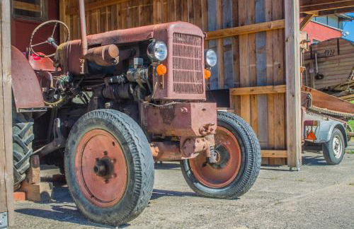 Halbinsel Resort Peenemünde - Foto 97