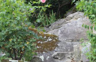 Casa Avô T1 - Foto 5