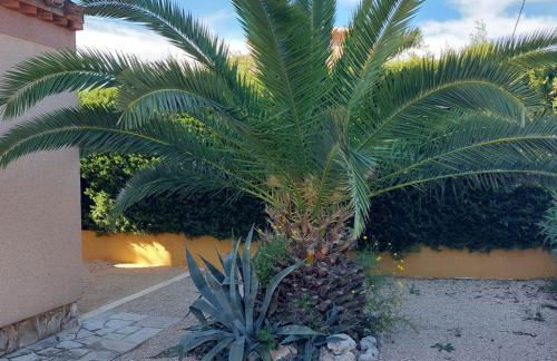 Buena Vista - Foto 47