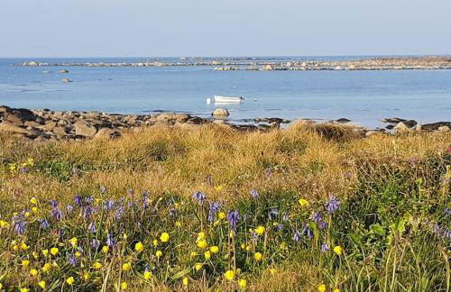 Les pieds dans l'eau - Cosqueville Vicq-mer - Foto 42