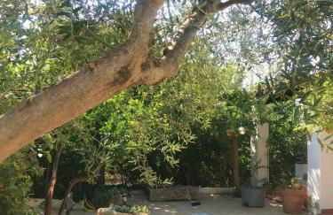 Villa Sara di Puglia - Foto 69