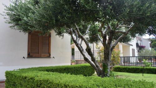 Tusitala - Rooms & Suite - Foto 4, Garden