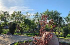 Agroturismo Viña Inés Toledo - Photo 78