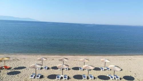 Tom's House - Photo 3