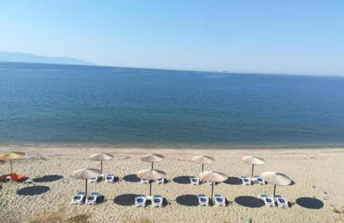 Tom's House - Photo 3