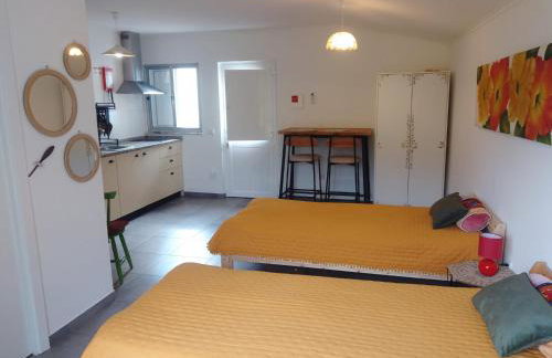 Nova Aurora - Foto 20