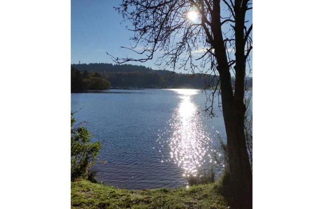 Garden Magic Comfortable Holiday Residence - Photo 10