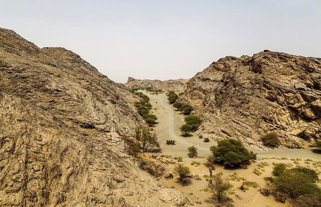 Misterios Antiguos de Arabia Central - Excursión de día completo - Foto 4