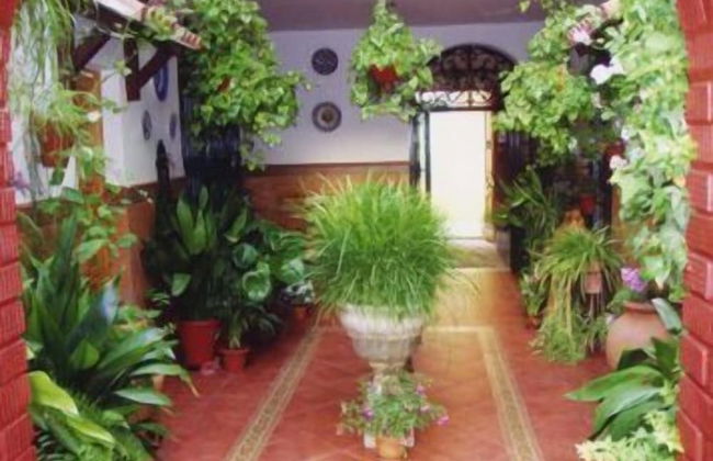 Apartamentos Embrujo de Azahar - Foto 57