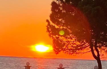 Aster Beach House - Foto 22