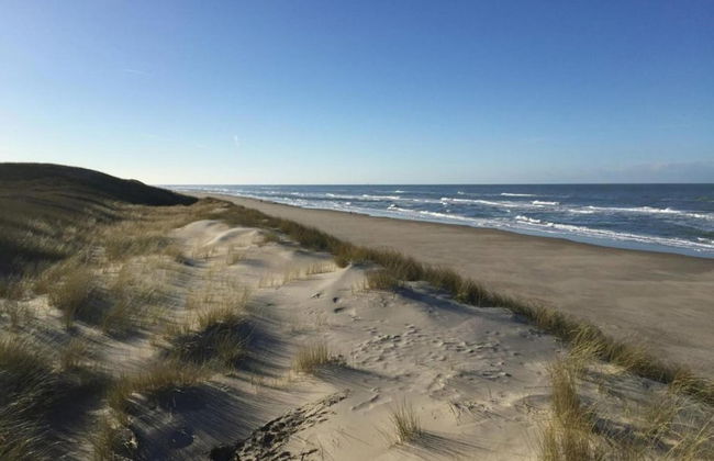 Luxury Chalet With two Bathrooms, Near the sSa on Texel - Foto 40