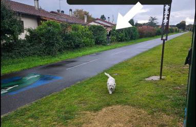logement avec cuisine et jardinet proche lac - Foto 11