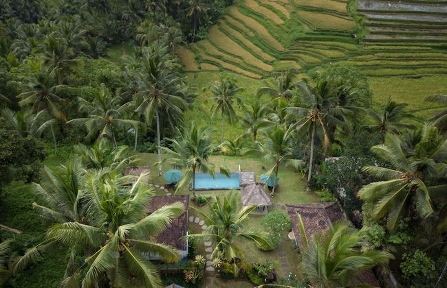 Green Sari Private Villa - Foto 42