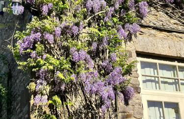 Helmdon House - pool & tennis court, 7 bedrooms - Foto 20