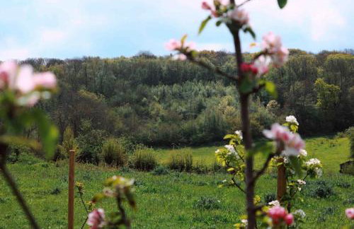 Orchard Cottage - Kent - Foto 22