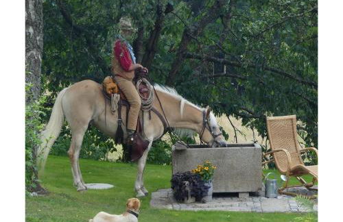 Ferienhaus in Kollnburg mit Garten - Photo 34