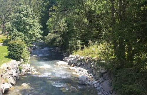 Chalet Walser à VALLORCINE 13 kms CHAMONIX France - Foto 10