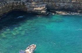 La Bouganville - Foto 37