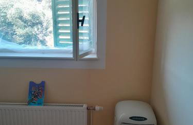 Jenny`s House - Photo 43