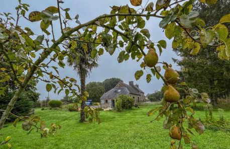 De kerloic - Foto 23