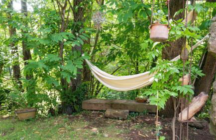 Majordoms Baseia - jardí i accés privat a La Fageda - Photo 10