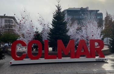 Le Riesling Colmar centre Charmant appartement avec terrasse et parking gratuit - Foto 48