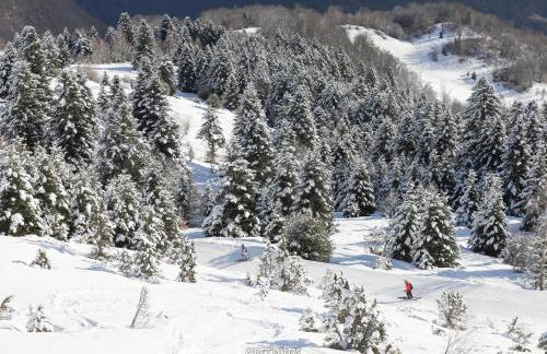 Pleine nature Pied pistes Piscine chauffée - Foto 32