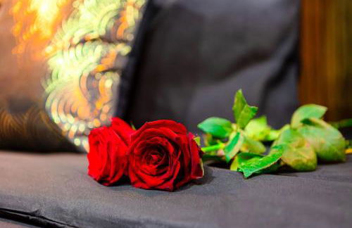 La Suite des Rêves - Les Bonn'apparts-Sur-Seine - Foto 15