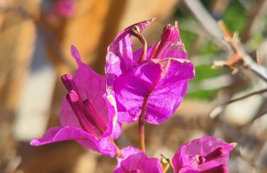 Casa Vacanze La Fenice - Casa Atlantica - Foto 62