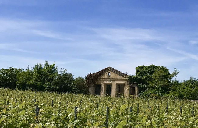 Saint Emilion Tour + Wine Tasting in a Winery - Foto 9