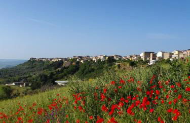 Angela's Apartment. Elegant two bedroom house in Irsina - Foto 60