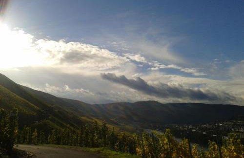 Apartment an der Mosel 1 - Foto 62