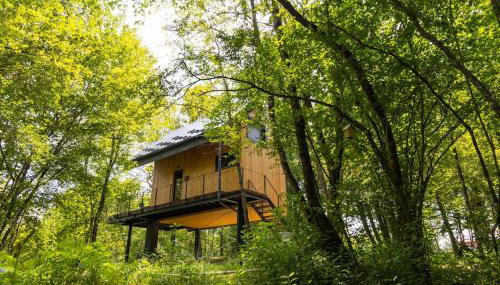 Tree Elements treehouse retreat - Foto 5