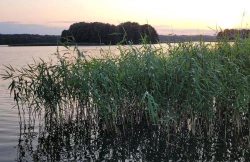 Domek dla dwojga - Photo 22