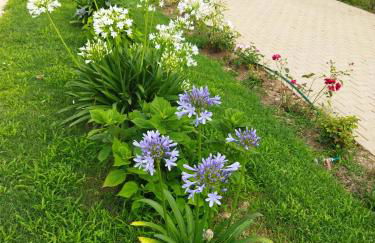 studio a la campagne - Foto 11