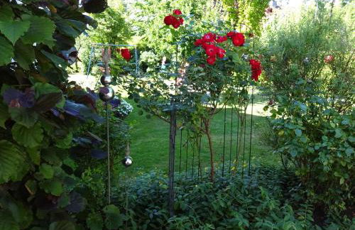 Haus Seeliger im Fichtelgebirge - Foto 14