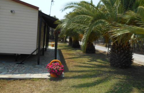 Heliactida House - Photo 13