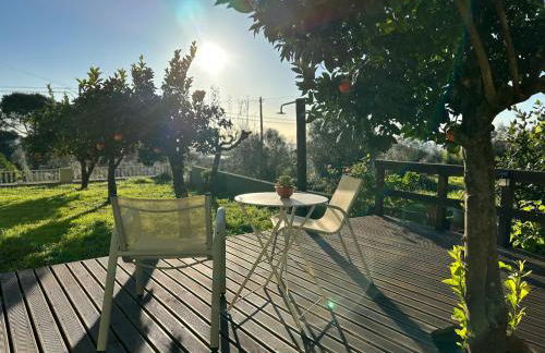 Quinta José&Maria Casa de Férias Ferreira do Zêzere - Foto 8