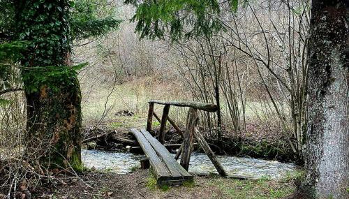 Villa Andjelija - Foto 3