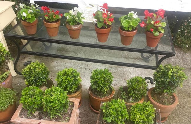 A Cortiña de Canalarrana - Foto 25