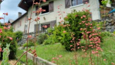 CHALETS JEANNE & ARNOL à Allemond - Grand Domaine Alpe d'Huez - Foto 1