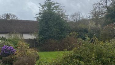 Cowshed - Foto 3, Garden view