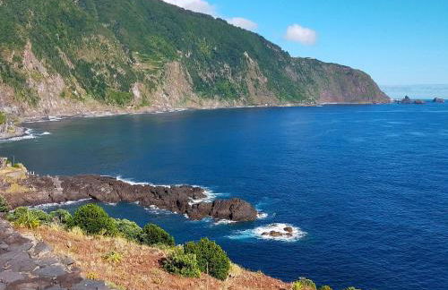 Ninho Gaivota - Foto 20