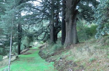 Quinta das Aveleiras - Foto 16