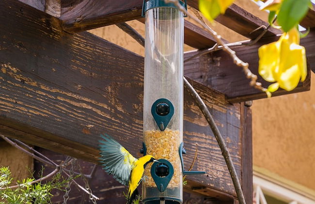 Botanic Bliss Living in Kingston - Photo 29